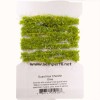 Guard Hair Chenille Olive