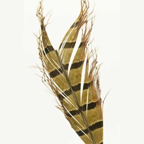 Knotted Hopper Legs Natural